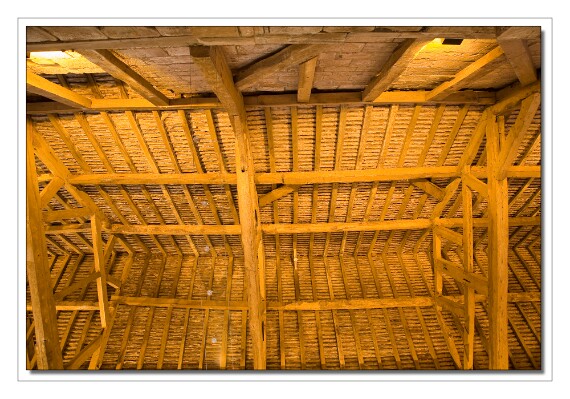 IMG_7876 5D copy